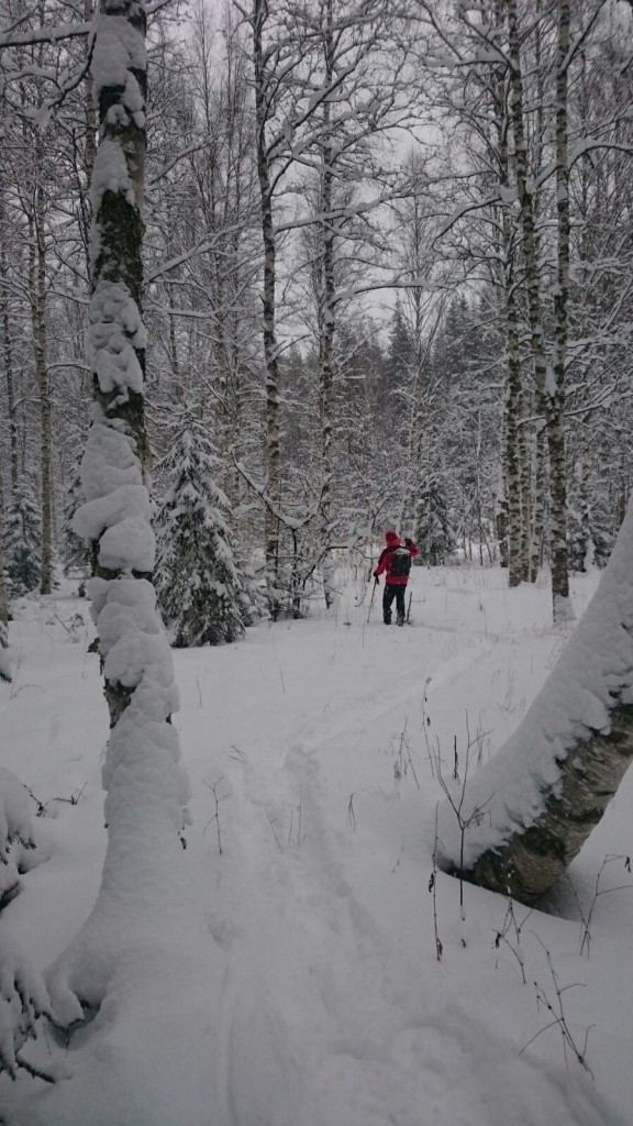 lumikenkä1