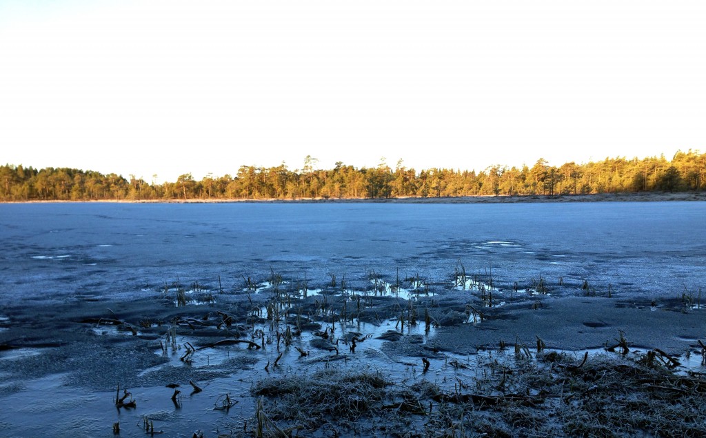 Lakjärvi kevät 2016 021